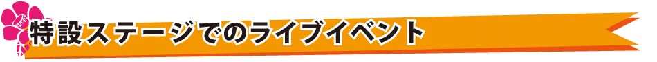 特設ステージでのライブイベント